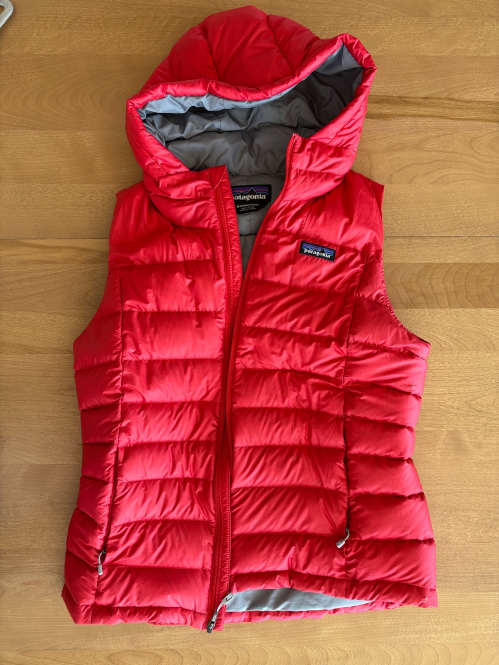 Patagonia down sweater vest